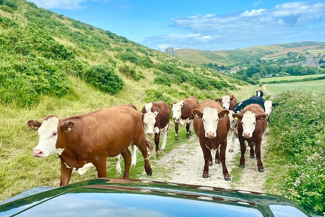 PURBECK HILLS & JURASSIC COAST - PRIVATE - 4x4 LAND ROVER SAFARI - Heaven’s Gate and the finest view of the trip