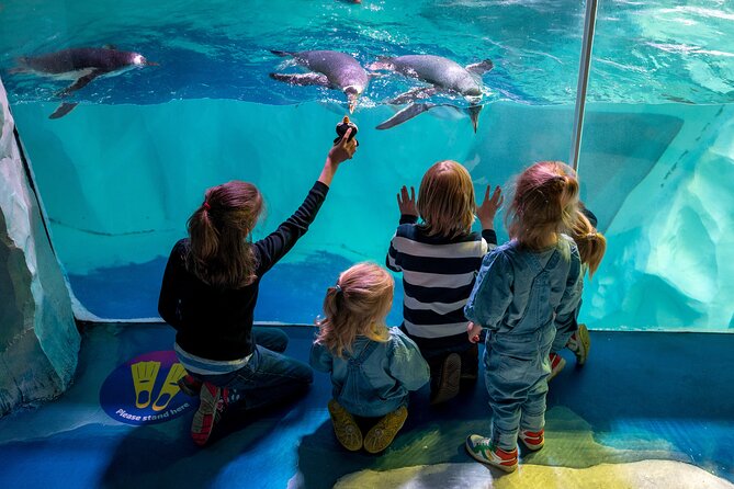 SEA LIFE Birmingham Admission Ticket - How long should you allow?