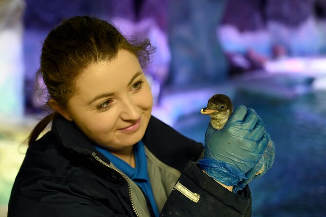 SEA LIFE Birmingham Admission Ticket - Staff, upkeep, and the feel of the visit
