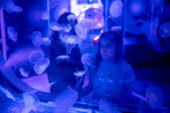 SEA LIFE Birmingham Admission Ticket - Who will enjoy SEA LIFE Birmingham most?