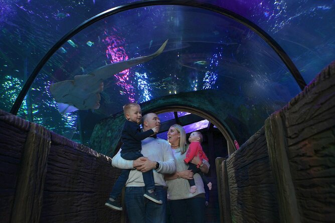 SEA LIFE Blackpool Admission Ticket - Quick points to know before you go
