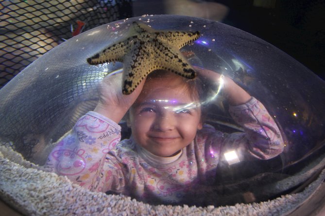 SEA LIFE Blackpool Admission Ticket - The rainforest adds frogs, reptiles, and a little suspense