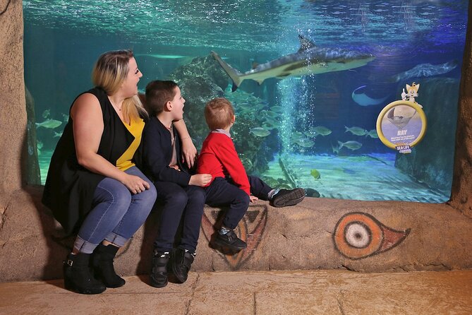 SEA LIFE Blackpool Admission Ticket - Sea Stars give small creatures their own moment