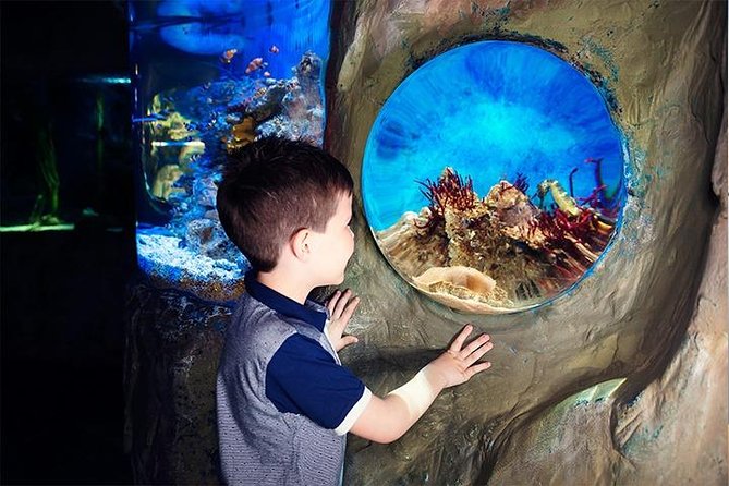SEA LIFE Blackpool Admission Ticket - How long to allow and what the price means