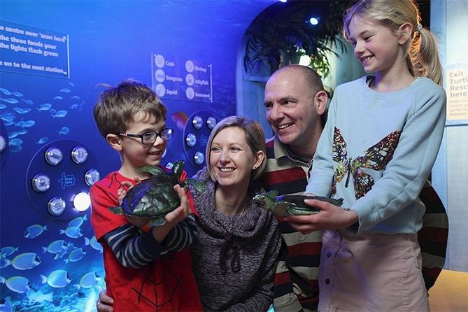 SEA LIFE Blackpool Admission Ticket - Seahorse Kingdom highlights careful breeding work