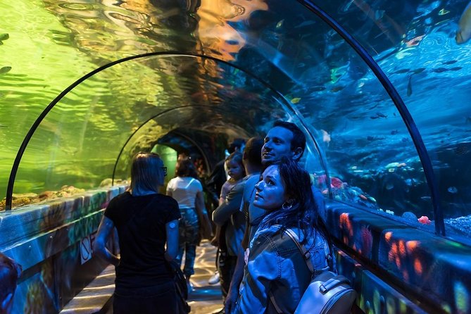 SEA LIFE Brighton Admission Ticket - Secrets of the Reef and the Maldives connection