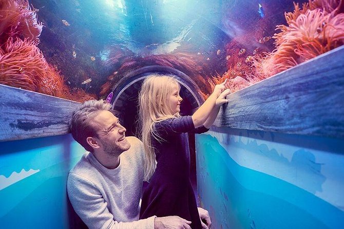 SEA LIFE Brighton Admission Ticket - The Claws exhibit and the Japanese spider crab