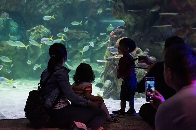 SEA LIFE Brighton Admission Ticket - Is the $21.94 ticket good value?