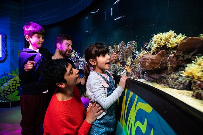 SEA LIFE London Aquarium Admission Ticket - Penguins, Turtles, Jellyfish, And Smaller Creatures
