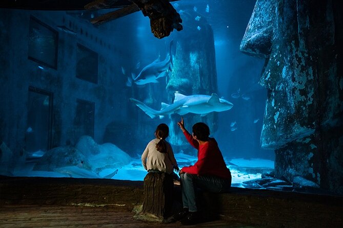 SEA LIFE London Aquarium Admission Ticket - Rainforest Adventure And The Creepier Side