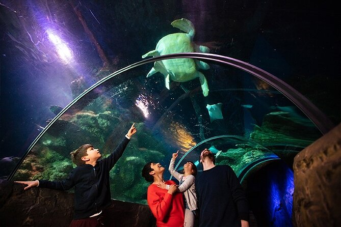 SEA LIFE London Aquarium Admission Ticket - Is The $38.48 Ticket Good Value?