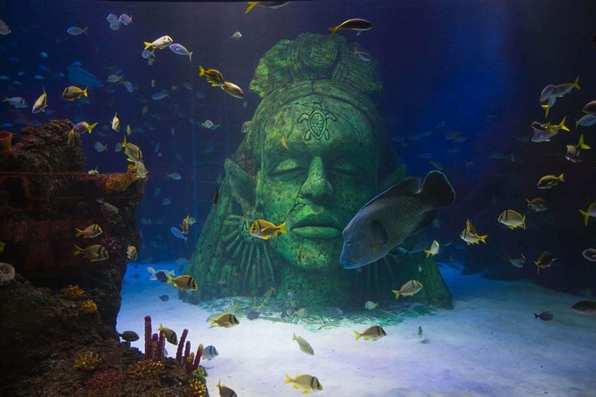 SEA LIFE Manchester Admission Ticket - Shipwreck creatures and the first sharks