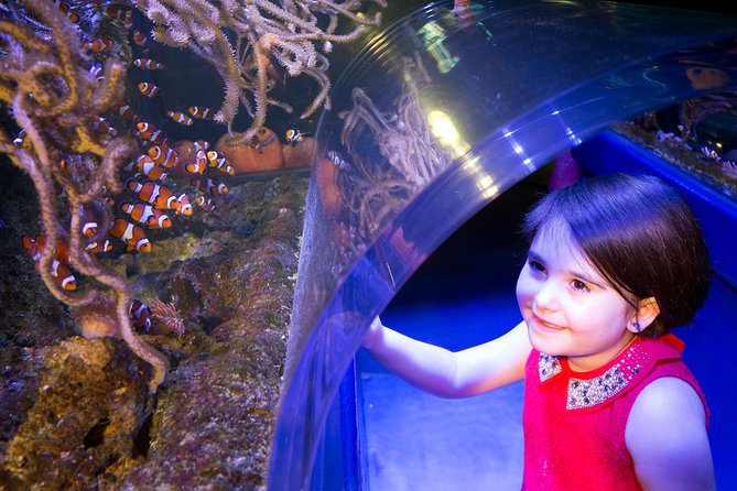 SEA LIFE Manchester Admission Ticket - The glass tunnel and Ernie the turtle