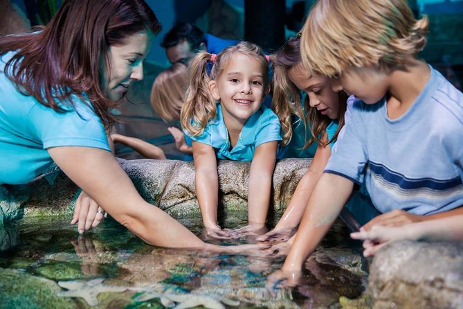 SEA LIFE Manchester Admission Ticket - The tropical ocean tank brings the biggest scenes