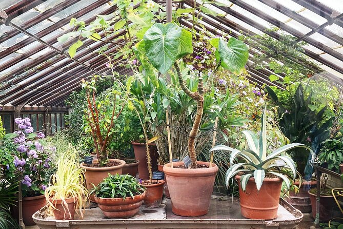 Secret Gardens of London Private Tour - Chelsea Physic Garden, the day’s centerpiece