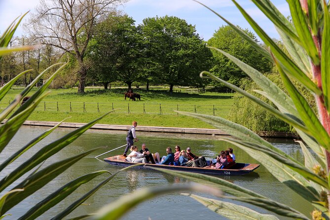 Shared Chauffeured Punt Tour - Clare College Gardens and Clare Bridge
