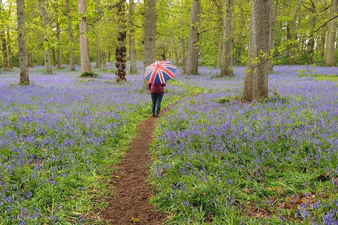 Southampton Port to London - Transfer with Sightseeing - Salisbury Cathedral and the old city