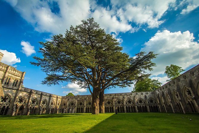Southampton: Post-Cruise Tour to London via Salisbury, Stonehenge and Windsor - Food, fitness, and what to bring