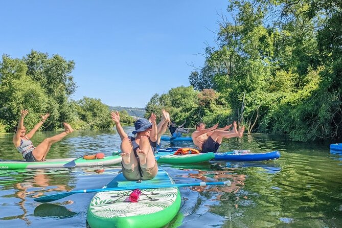Stand-up Paddleboard SUP Safari on The River Avon For Beginners - A peaceful safari with wildlife along the way