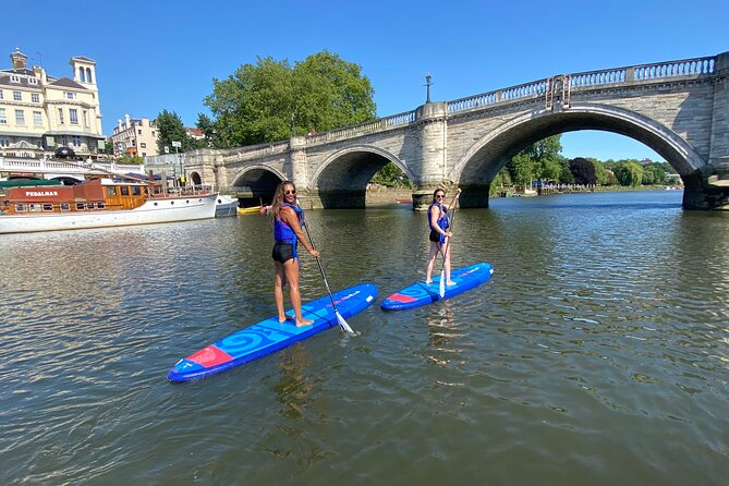 Stand up Paddleboarding on the beautiful Thames at Richmond - What you may see from the board