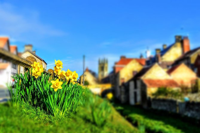 Steam Trains, Whitby, and the North York Moors Full-Day Tour from York - Why this York day trip works