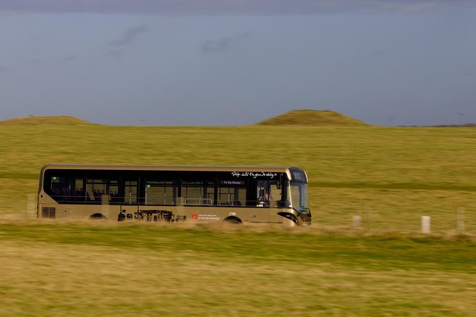 Stonehenge Shuttle Bus from London with Optional Fish & Chips - Is the fish-and-chips upgrade worth adding?