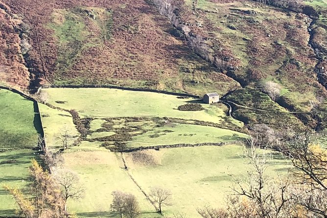 Stunning Lake District 4 Hour Tours! - Tarn Hows, one of the best photo stops