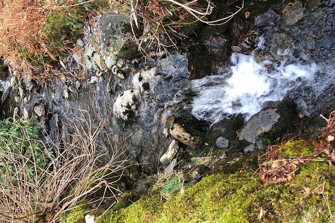 Stunning Lake District 4 Hour Tours! - Stock Ghyll Force and Ambleside