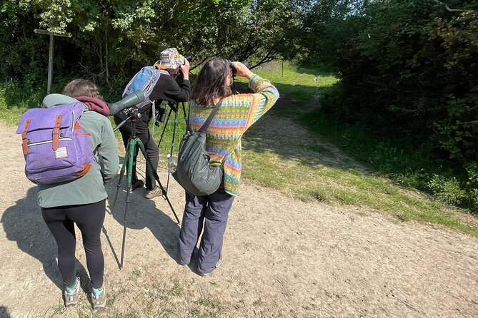 Sussex Birdwatching Private Guided Day Tour - Burpham’s open downs and farmland birds