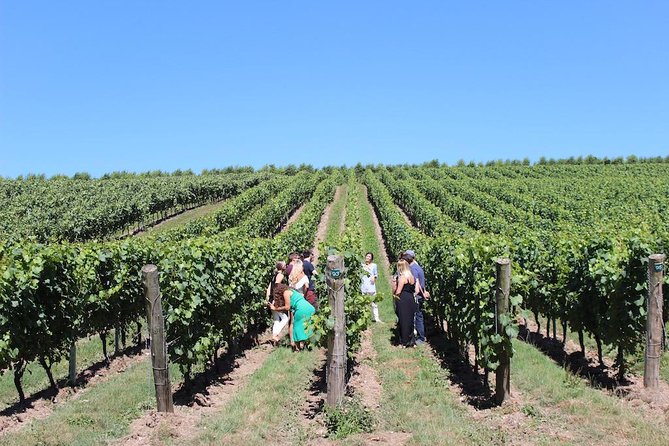 Sussex Vineyard & Winery Bus Tour on Iconic Vintage London Bus - What the six-and-a-half-hour schedule feels like
