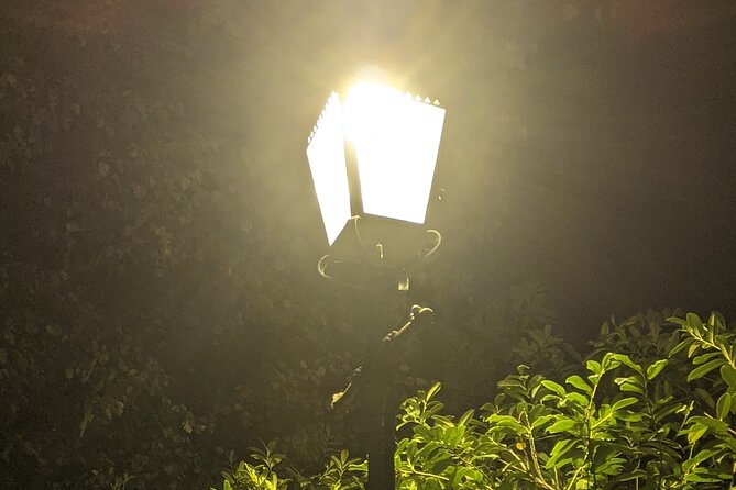 The Sinister Side of Shakespeare's Stratford Walking Tour - Holy Trinity Church and the churchyard after dark