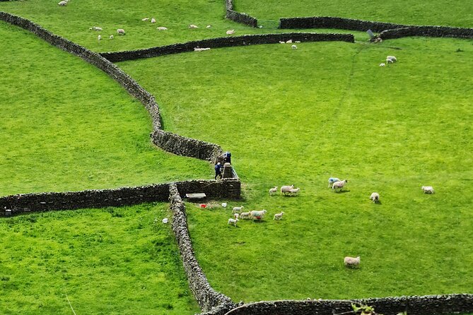 The Yorkshire Dales of All Creatures Great & Small - Meeting the real James Herriot in Thirsk