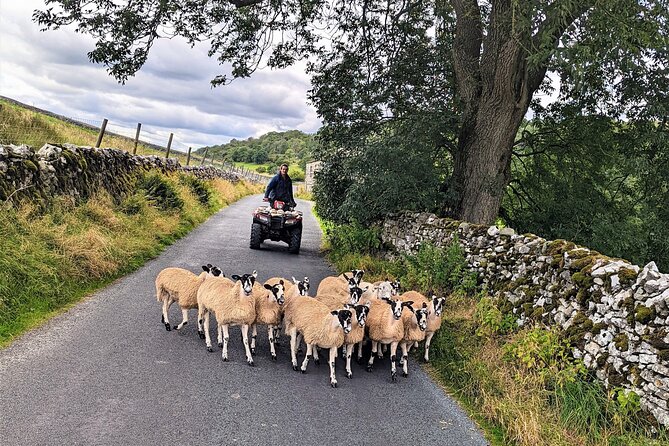 The Yorkshire Dales of All Creatures Great & Small - Through Wharfedale and Wensleydale