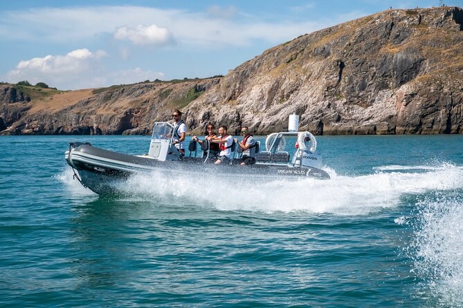 Torquay Coastal RIB Seafari - Ore Stone and Torbay’s seabirds