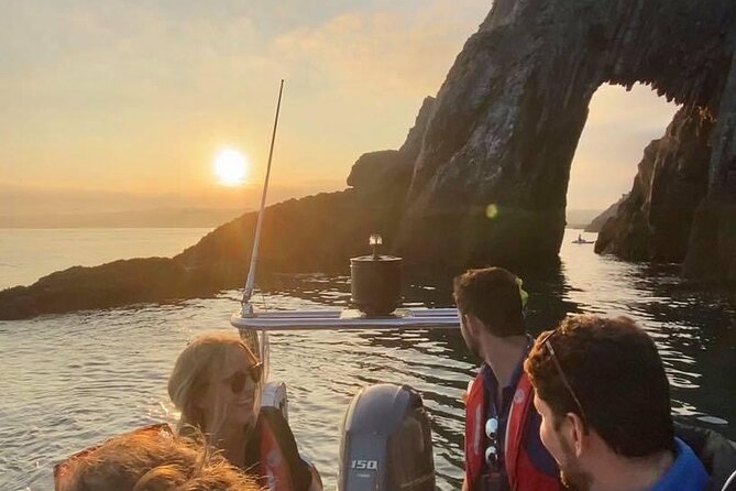 Torquay Coastal RIB Seafari - The guides make the hour work