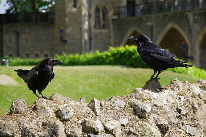 Tower of London Private Walking Tour - A private way to approach the Tower of London