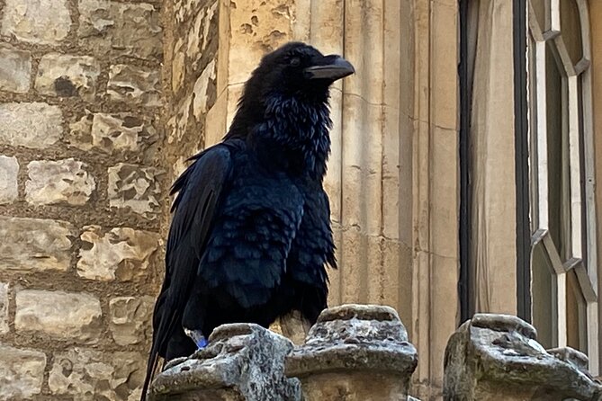 Tower of London & Westminster Abbey VIP Tour with expert guide - Two hours inside Westminster Abbey