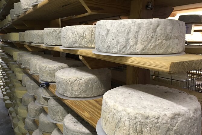 Vineyard & Cheesemaker Bus Tour of Sussex - High Weald Dairy turns lunch into the heart of the day