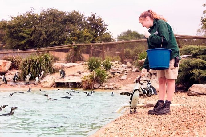 Whipsnade Zoo Entry Ticket - A practical route through the animal areas
