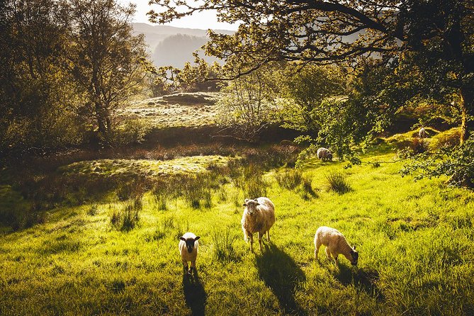 Windermere & Lake District Tour from Manchester Including Cruise - Bowness-on-Windermere: your first look at the lake