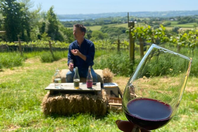 Wine & Cheese in the Somerset Valleys - with Michelin-star lunch! - Limeburn Hill and the first taste of biodynamic wine