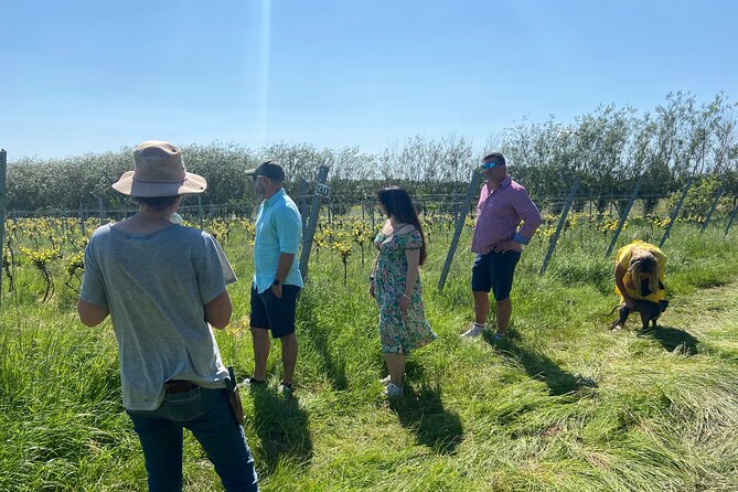 Wine & Cheese in the Somerset Valleys - with Michelin-star lunch! - What the $212.55 price really covers