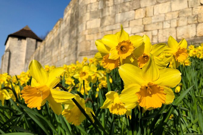 York 3-Hour Photography Walking Tour - Fossgate and the Merchant Adventurers’ Hall