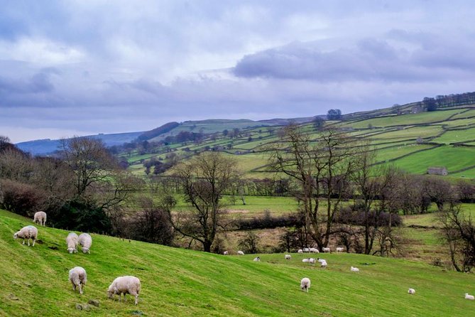 Yorkshire Dales Tour from York - Aysgarth Falls in ten quick minutes
