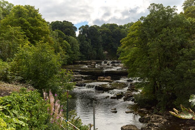 Yorkshire Dales Tour from York - Four hours on the Dales roads